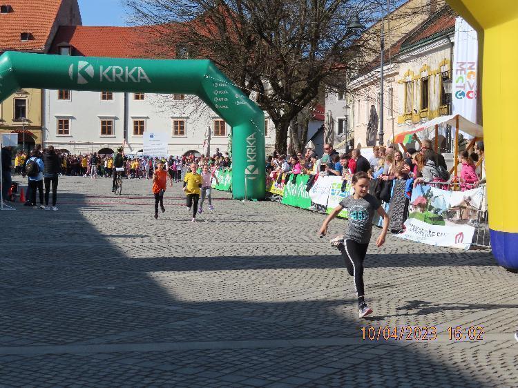 01681237411IMG_2803.JPG-nm-tek.si