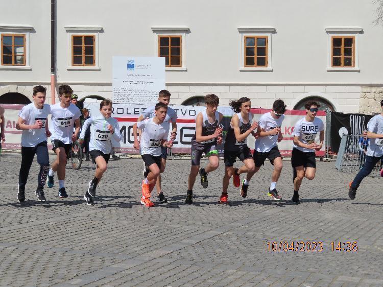 01681240342IMG_2584.JPG-nm-tek.si