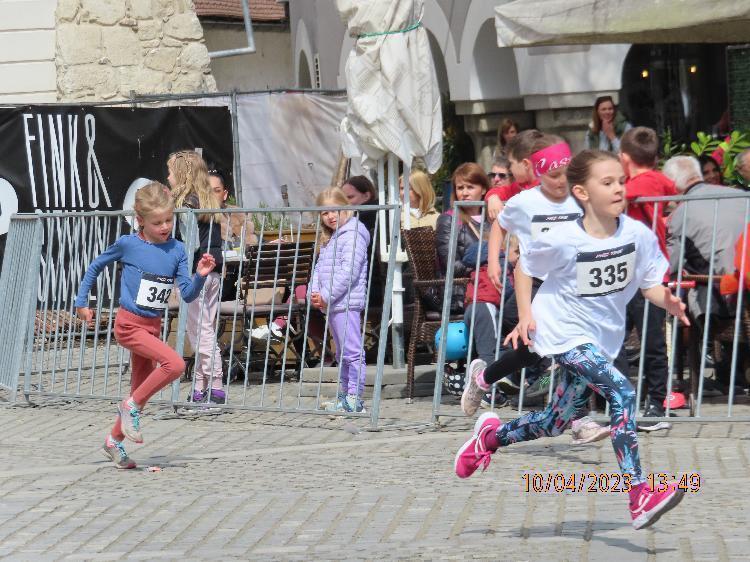 01681241372IMG_2454.JPG-nm-tek.si