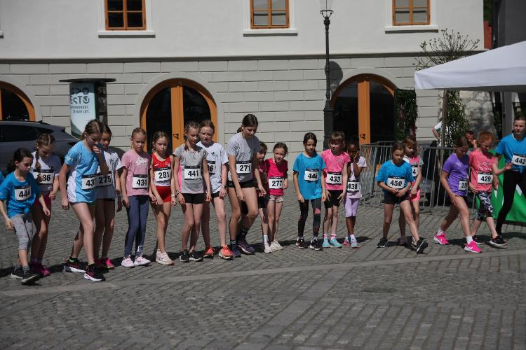 01712843173IMG_3096.JPG-nm-tek.si