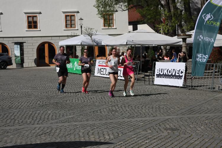 01712848316IMG_3300.JPG-nm-tek.si