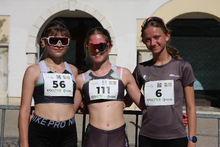 01712849069IMG_3385.JPG-nm-tek.si