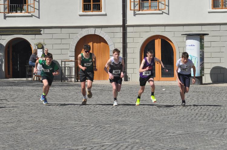 01744375997DSC_5955.JPG-nm-tek.si