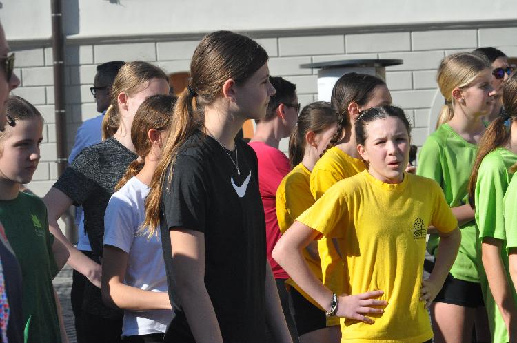 01744377631DSC_6330.JPG-nm-tek.si