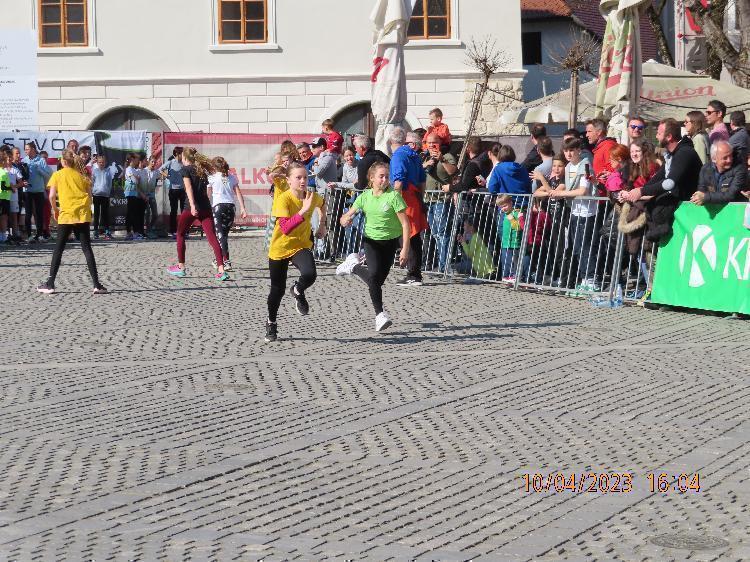 11681236650IMG_2817.JPG-nm-tek.si