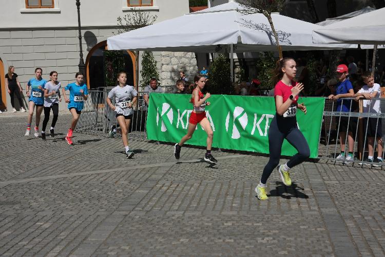 11712843672IMG_3137.JPG-nm-tek.si