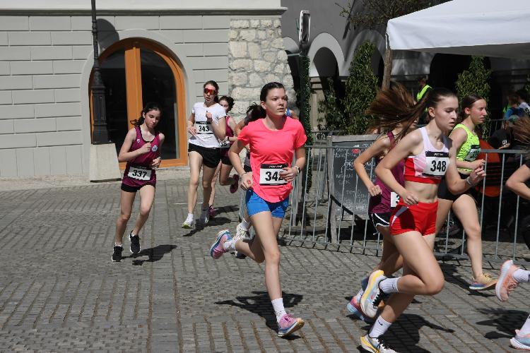 11712844095IMG_3167.JPG-nm-tek.si