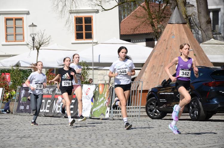 11744437789DSC_9105.JPG-nm-tek.si