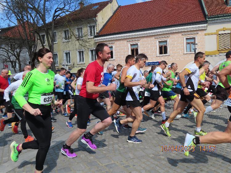 21681233798IMG_2663.JPG-nm-tek.si