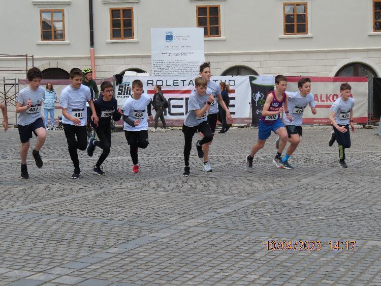 21681239256IMG_2517.JPG-nm-tek.si