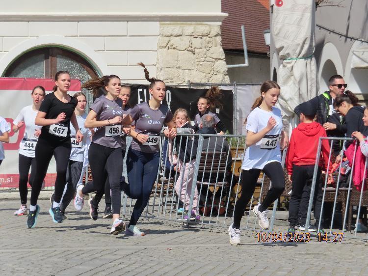 21681239910IMG_2558.JPG-nm-tek.si