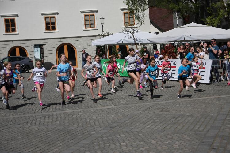 21712843173IMG_3098.JPG-nm-tek.si