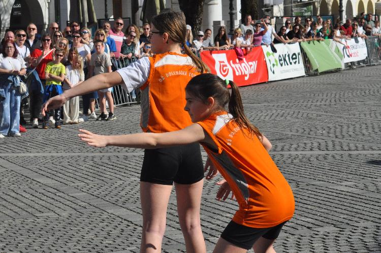 21744377245DSC_6241.JPG-nm-tek.si