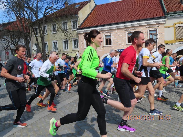 31681233812IMG_2664.JPG-nm-tek.si