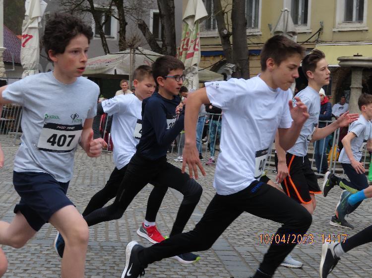 31681239271IMG_2523.JPG-nm-tek.si