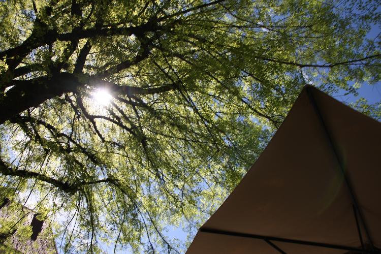 31712848227IMG_3291.JPG-nm-tek.si