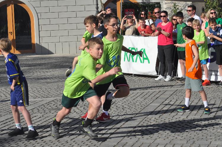 31744377371DSC_6279.JPG-nm-tek.si