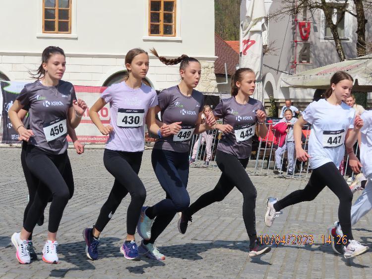 41681239708IMG_2551.JPG-nm-tek.si