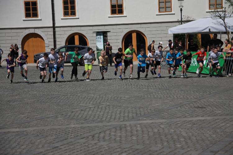 41712843427IMG_3116.JPG-nm-tek.si