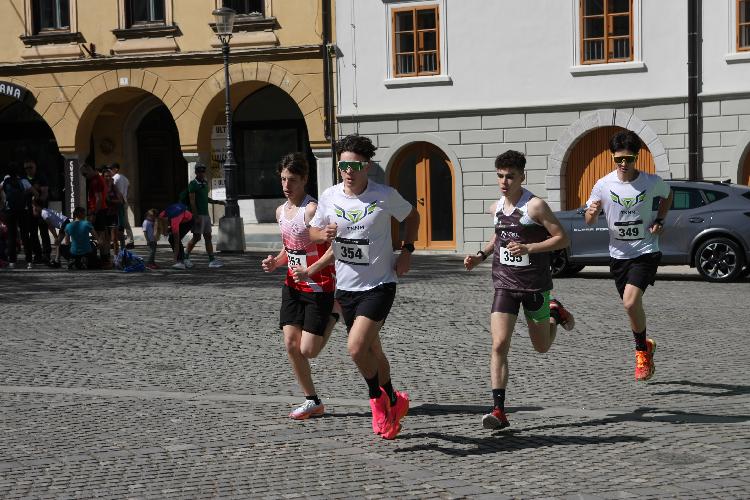 41712844188IMG_3182.JPG-nm-tek.si