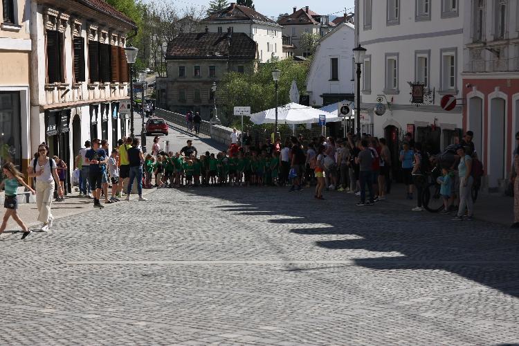 41712847918IMG_3255.JPG-nm-tek.si