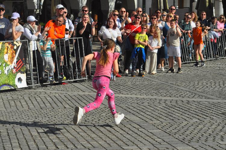 41744377246DSC_6253.JPG-nm-tek.si