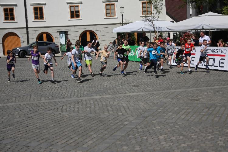 51712843427IMG_3117.JPG-nm-tek.si