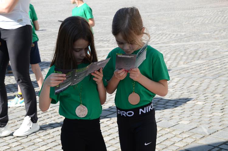 51744452967DSC_9316.JPG-nm-tek.si