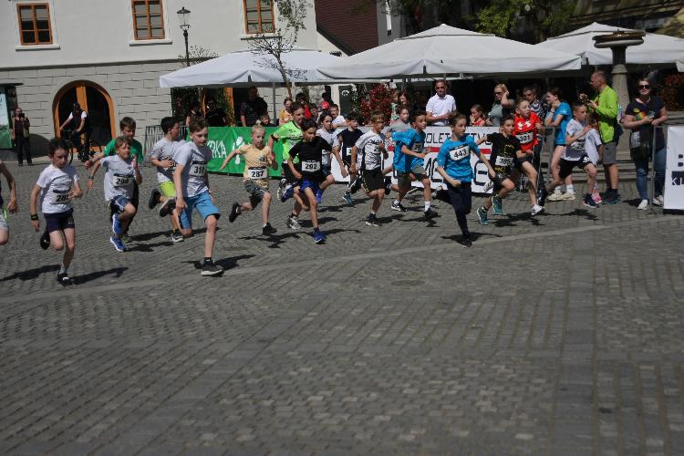 61712843427IMG_3118.JPG-nm-tek.si