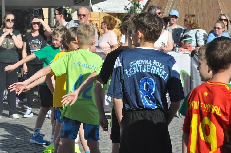 71744377372DSC_6289.JPG-nm-tek.si