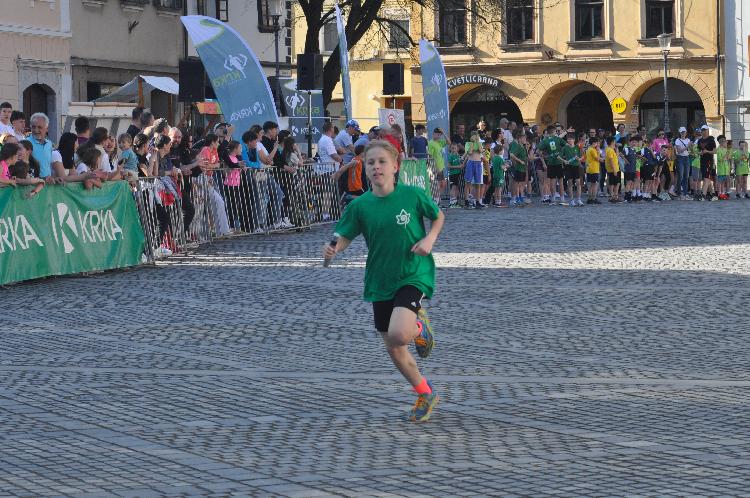 71744378389DSC_6428.JPG-nm-tek.si