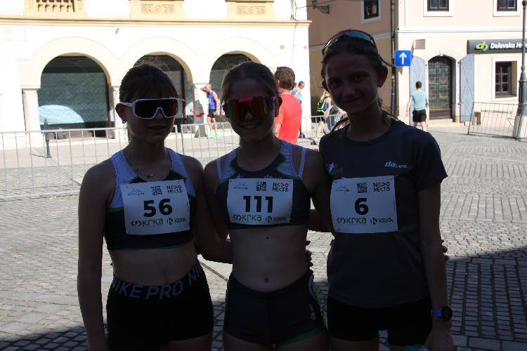 81712849009IMG_3382.JPG-nm-tek.si