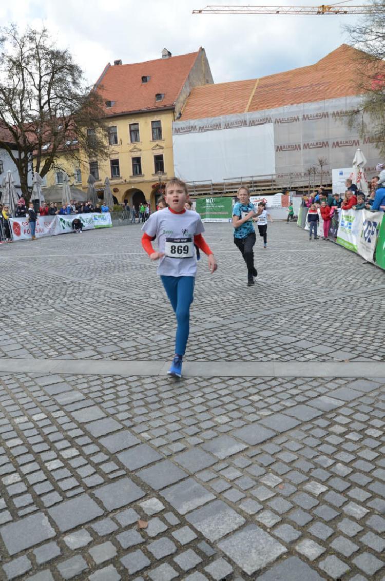 DSC_1645.jpg-nm-tek.si