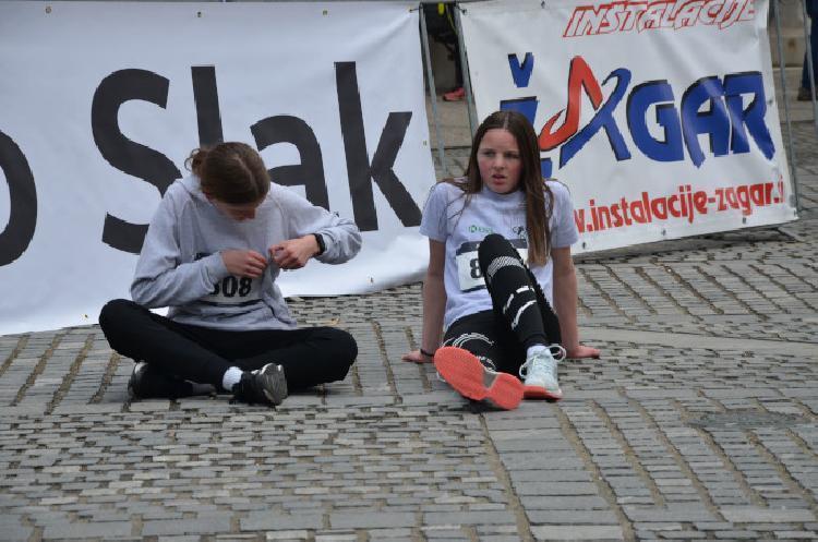 DSC_1803.jpg-nm-tek.si