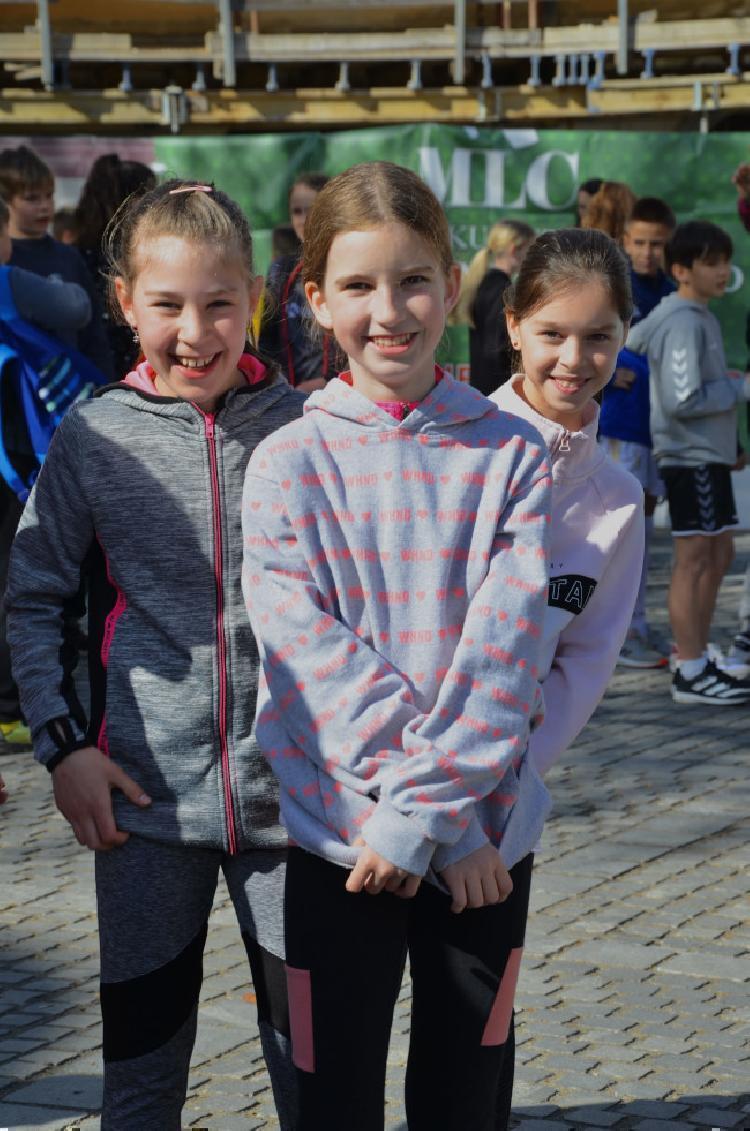 DSC_2363.jpg-nm-tek.si