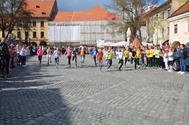 DSC_2387.jpg-nm-tek.si