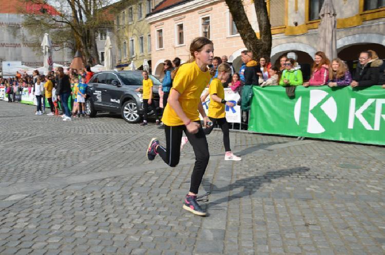 DSC_2437.jpg-nm-tek.si