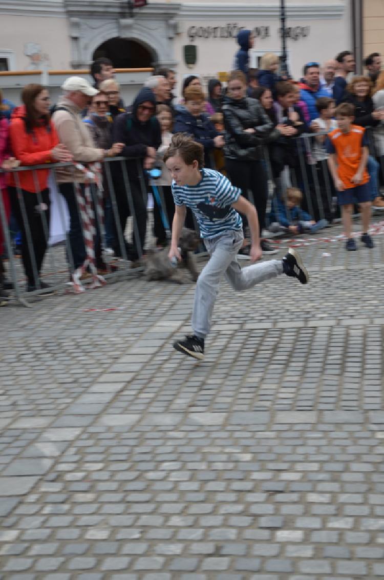 DSC_2557.jpg-nm-tek.si